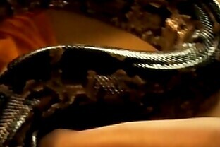 /images/Rise Erotic Serpent Rise!