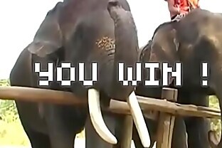 /images/My wild and crazy week in Pattaya was a pussy-smashing success!